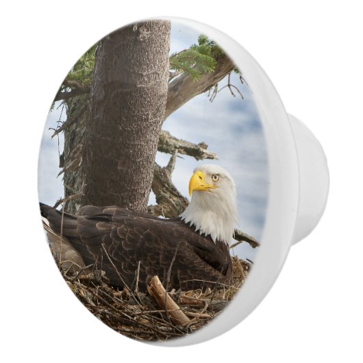 Nesting Bald Eagle Keramische Knop (Rechts)