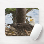 Nesting Bald Eagle Muismat (Met muis)