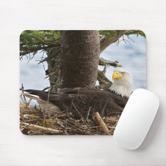 Nesting Bald Eagle Muismat (Met muis)