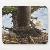 Nesting Bald Eagle Muismat (Voorkant)