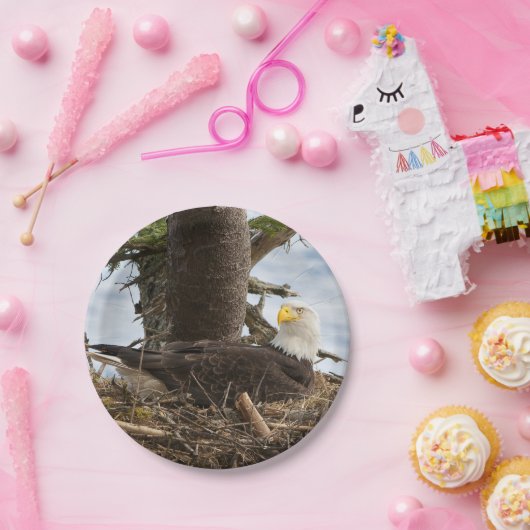 Nesting Bald Eagle Papieren Bordje (Feest)