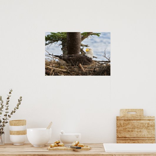 Nesting Bald Eagle Poster (Keuken)