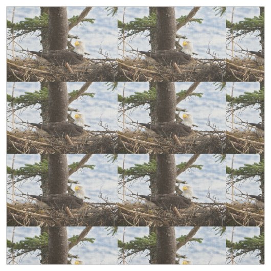 Nesting Bald Eagle Stof (Swatch)