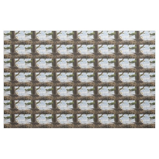 Nesting Bald Eagle Stof (Fat Quarter)