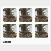 Nesting Bald Eagle Vierkante Sticker (Vel)