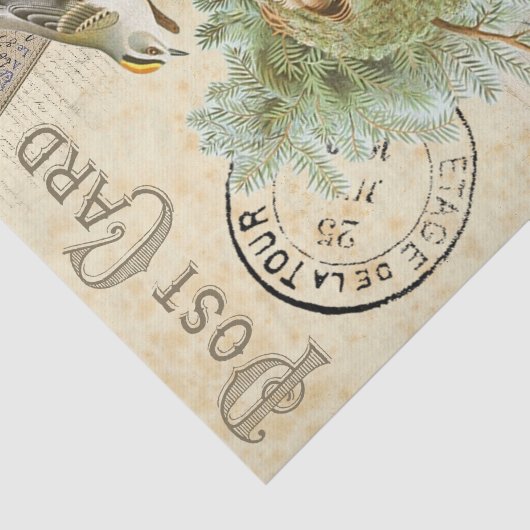 Nesting Bird Briefkaart Tissuepapier (Detail)