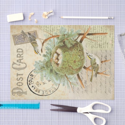 Nesting Bird Briefkaart Tissuepapier (Craft)