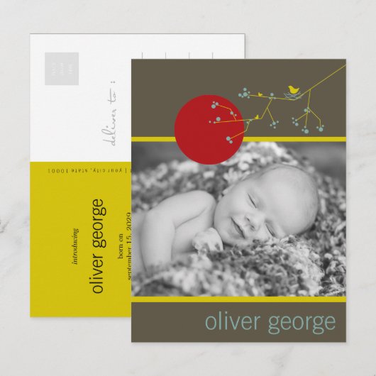 Nesting Bird & Family Baby Foto Aankondiging (Voorkant / Achterkant)