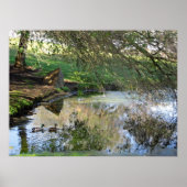 "Nesting Ducks" Poster (Voorkant)