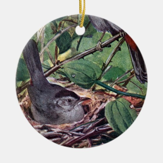 Nesting Gray Catbird Keramisch Ornament (Voorkant)