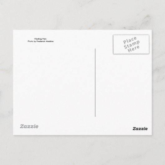 Nesting Hen Briefkaart (Achterkant)