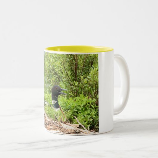 Nesting Loon Coffee-Mok Tweekleurige Koffiemok (Voorkant rechts)