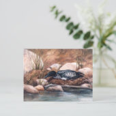 Nesting Time Loon Briefkaart (Staand voorkant)