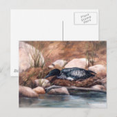 Nesting Time Loon Briefkaart (Voorkant / Achterkant)