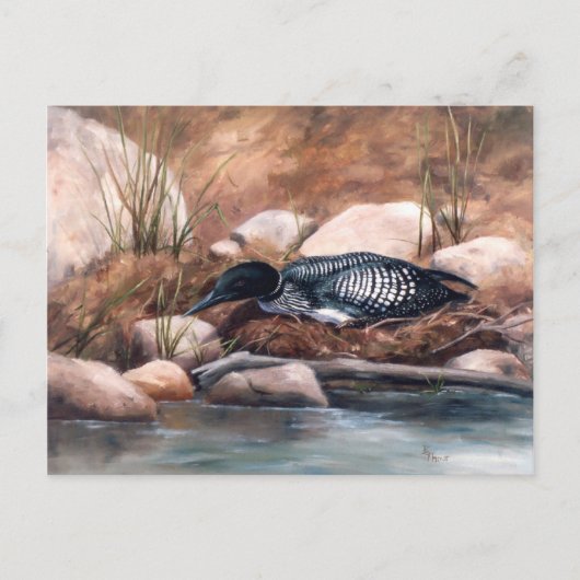 Nesting Time Loon Briefkaart (Voorkant)