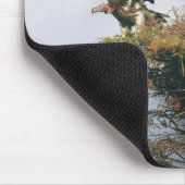Nesting Vultures Mousepad Muismat (Hoek)
