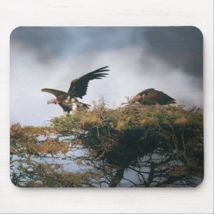 Nesting Vultures Mousepad Muismat