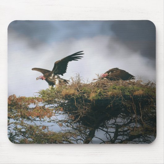 Nesting Vultures Mousepad Muismat (Voorkant)