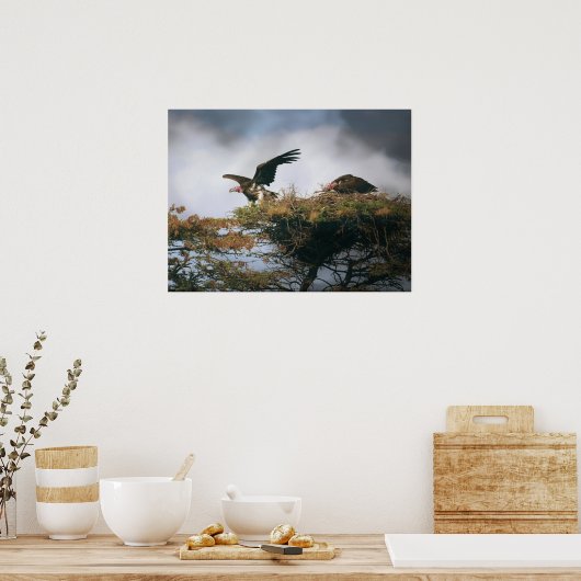 Nesting Vultures Poster (Keuken)