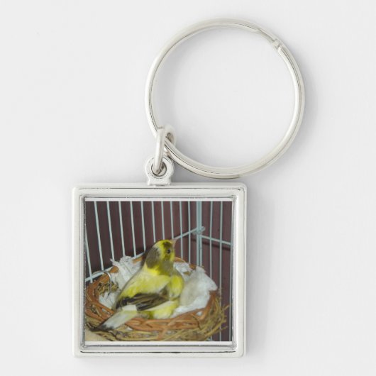 Nestkanarie Sleutelhanger (Voorkant)