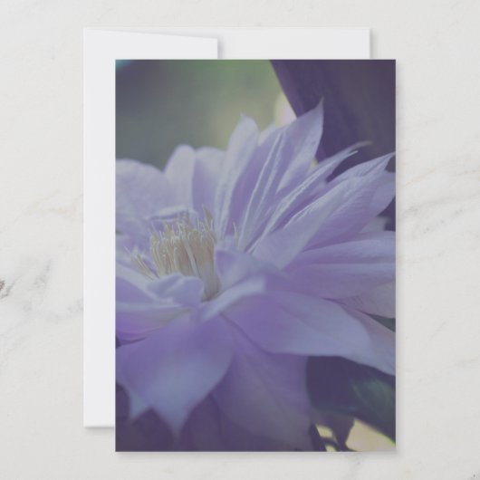 Nestled Clematis Flower Party Kaart (Achterkant)