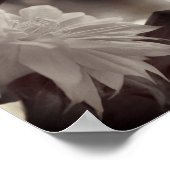 Nestled Clematis Flower Zwart-wit  Poster (Hoek)