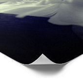 Nestled Clematis zwart en wit Poster (Hoek)