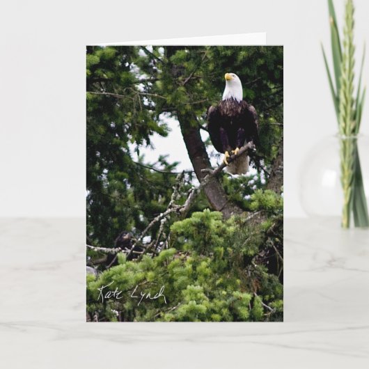 Nestling Card Kaart (Voorkant)