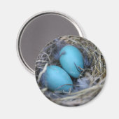 nestmagneet magneet (Voorkant / Achterkant)