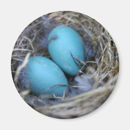 nestmagneet magneet (Voorkant)