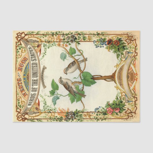 Nests en eieren van de Verenigde Staten van Amerik Tissuepapier (Voorkant)
