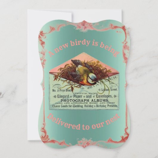  nestvogel baby shower uitnodiging (Voorkant)