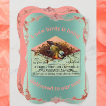 nestvogel baby shower uitnodiging