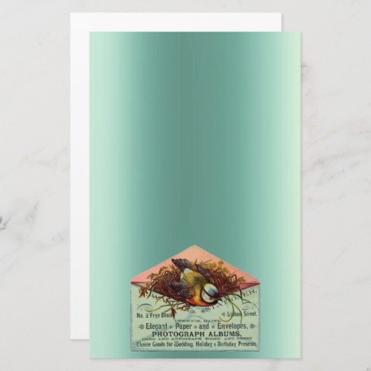  nestvogel blauwgroen perzikbruin briefpapier (Voorkant / Achterkant)