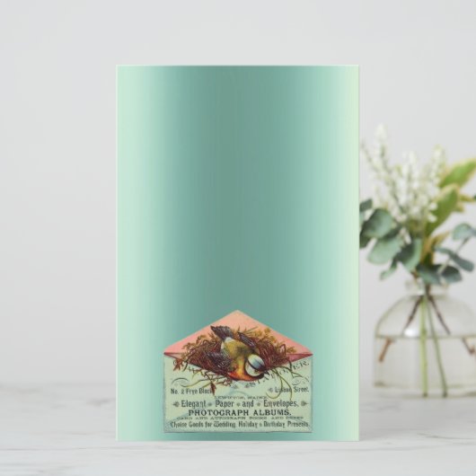  nestvogel blauwgroen perzikbruin briefpapier (Staand voorkant)