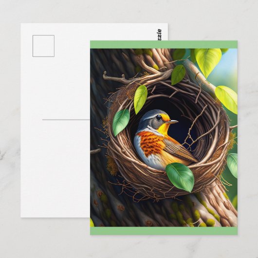 nestvogel briefkaart (Voorkant / Achterkant)