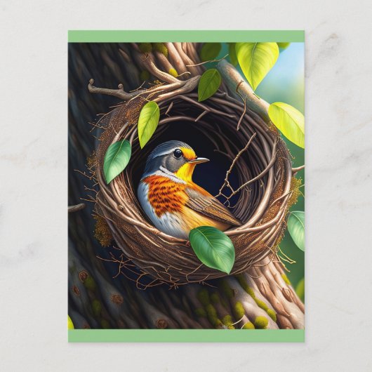 nestvogel briefkaart (Voorkant)