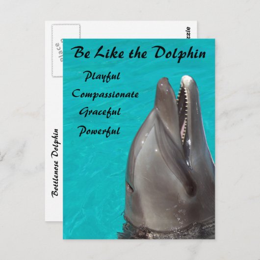 Net als het Briefkaart van de Dolphin (Voorkant / Achterkant)