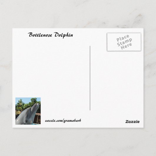 Net als het Briefkaart van de Dolphin (Achterkant)