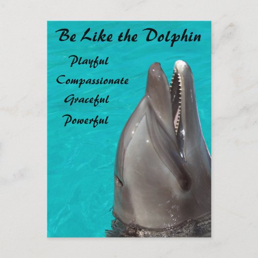 Net als het Briefkaart van de Dolphin (Voorkant)
