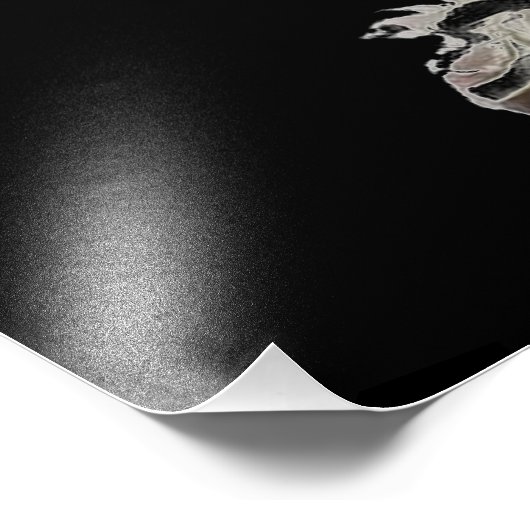 Net als Lace Foto Afdruk (Hoek)