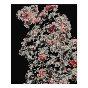 Net als Lace Foto Afdruk