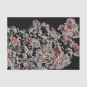 Net als Lace Tissuepapier (Voorkant)