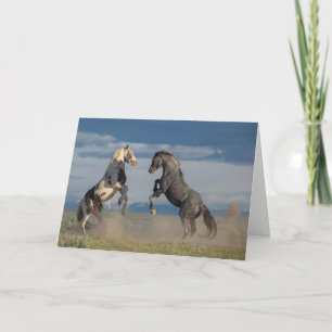 "Net als vader, zoals zoon"-briefkaart Kaart