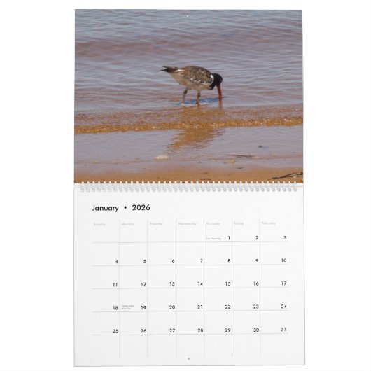 Net Beachy Calendar Kalender (Jan 2026)