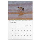 Net Beachy Calendar Kalender (Jan 2027)