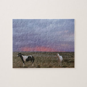 Net buiten de stad legpuzzel