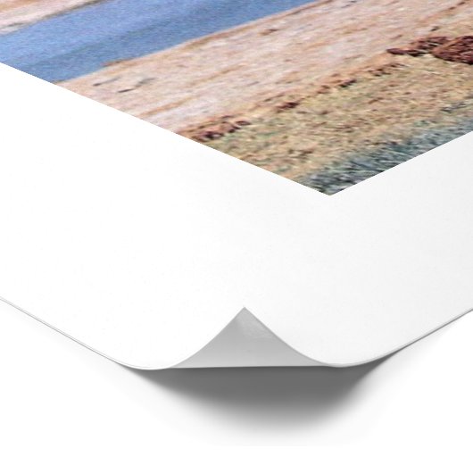 NET ELEPHANTS POSTER (Hoek)