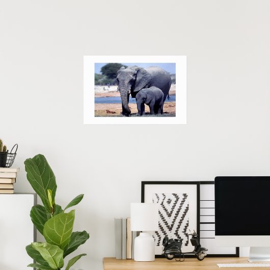 NET ELEPHANTS POSTER (Thuiskantoor)
