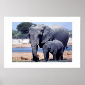 NET ELEPHANTS POSTER (Voorkant)